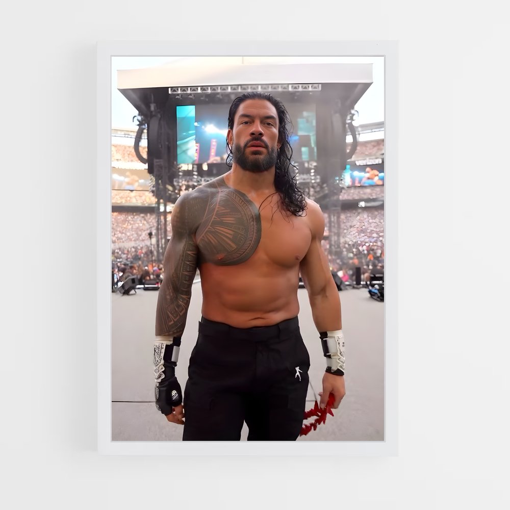 Poster Roman reigns (vue 3)